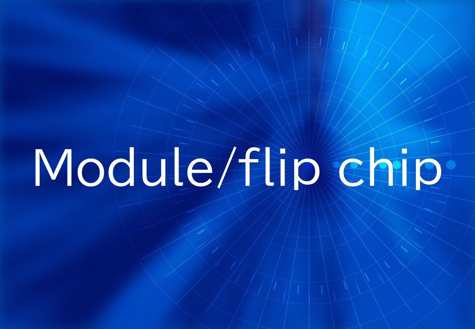 Module/flip chip