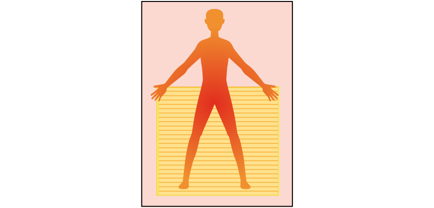 Waist to Feet