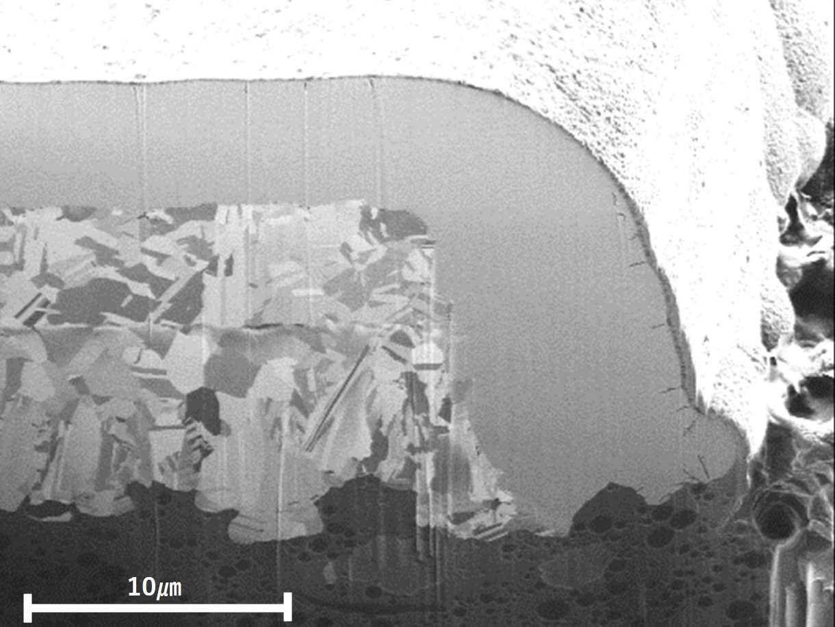 Cross section processing observation