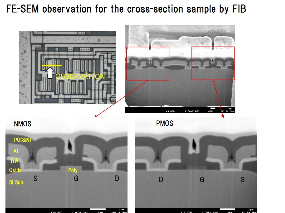 Cross section processing observation