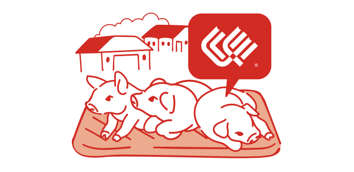 動物用保温マットとして