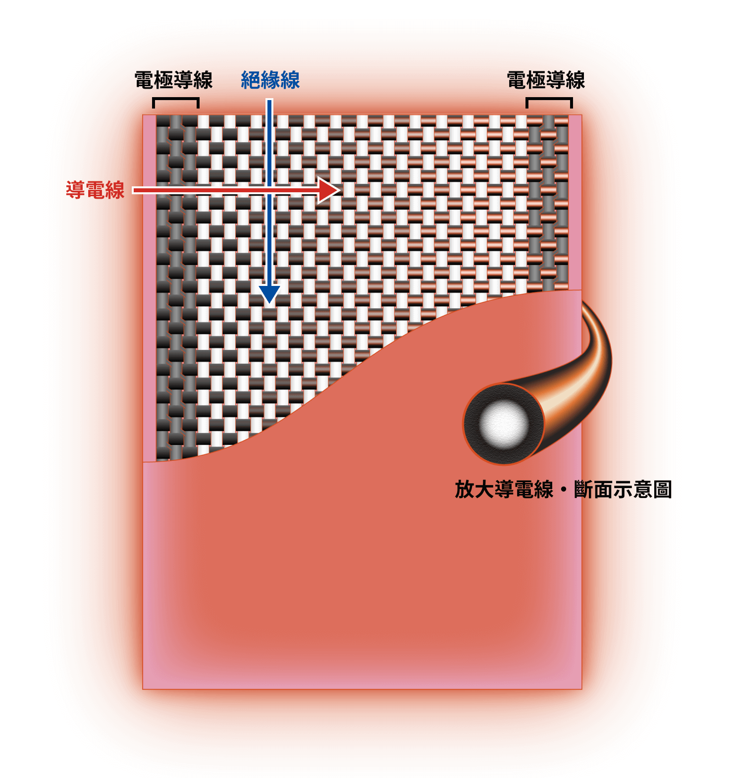 放大導電線・斷面示意圖