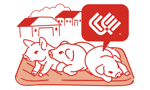 畜産分野